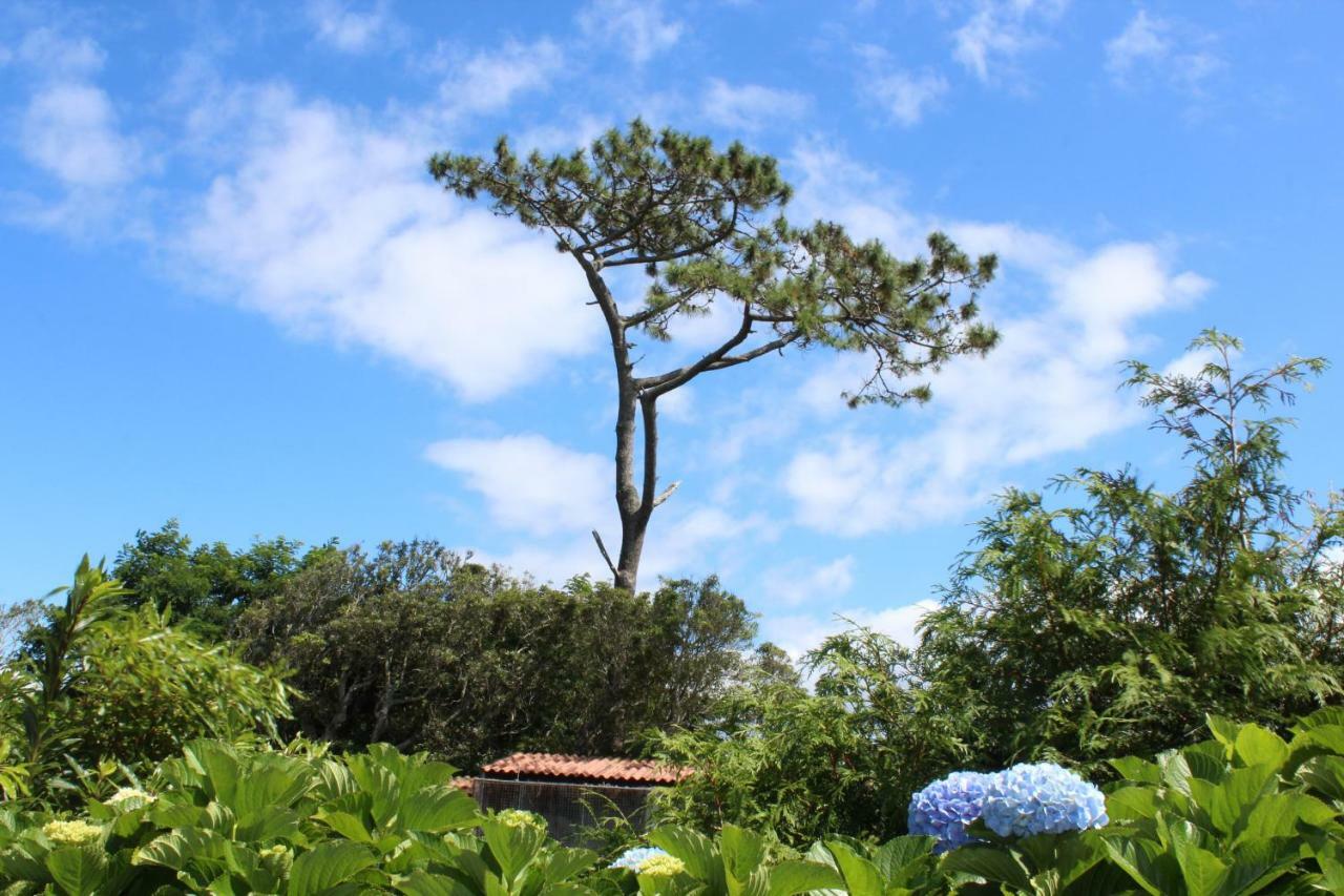 Quinta Do Torreao Villa Capelas Luaran gambar